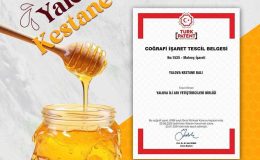 YALOVA KESTANE BALI DA COĞRAFİ İŞARET TIESCİLİ ALDI