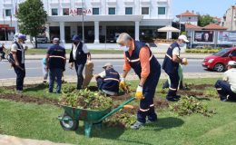 Yalova Belediyesi 4 yılda, kişi başına düşen yeşil alanı 3.97 metrekareye ulaştırdı..