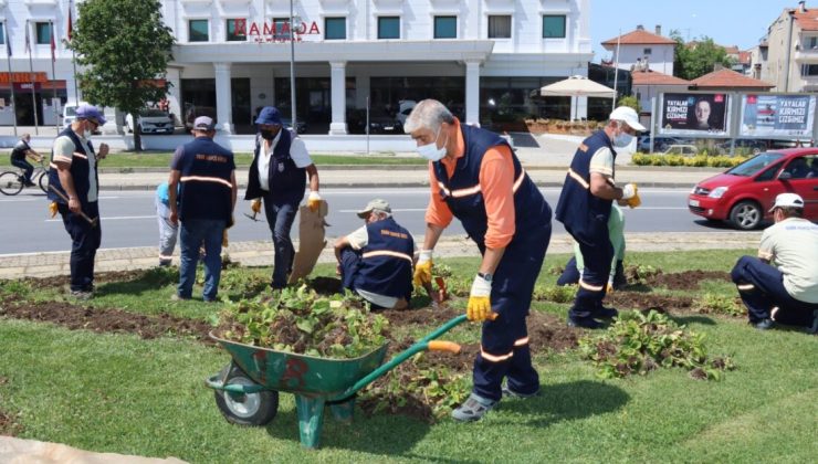 Yalova Belediyesi 4 yılda, kişi başına düşen yeşil alanı 3.97 metrekareye ulaştırdı..