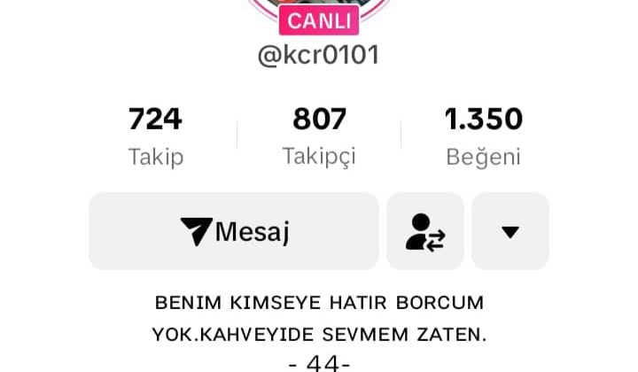 TikTok  asker profilleri devlet için tehlike