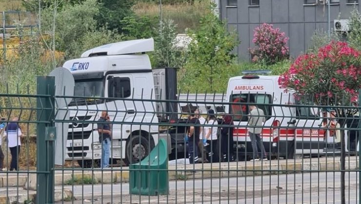 YALOVA’DA TIR SOFÖRÜ ARACININ YANINDA ÖLÜ BULUNDU