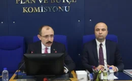 Yeni vergi düzenlemeleri TBMM Komisyonu’nda görüşülüyor