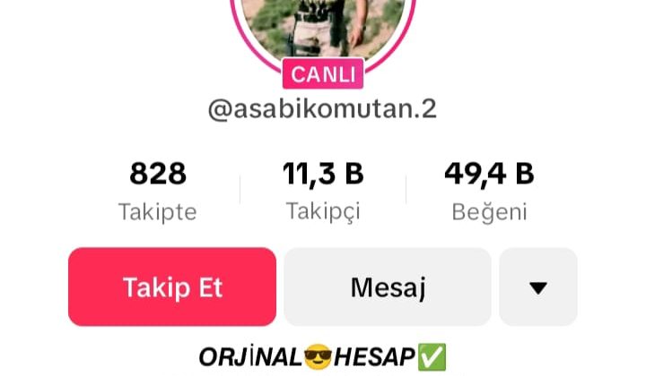 TikTok’ta Sahte Asker Profilleri ve Şehitlerimizin Resimlerinin Kullanılması Hakkında Soruşturma Talebi