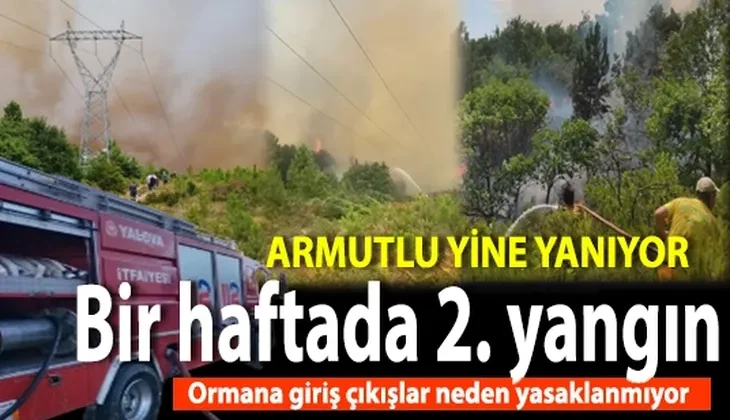 Yine ciğerlerimiz yanıyor.