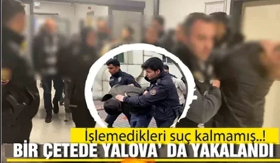 Çete elamanları yakalandı