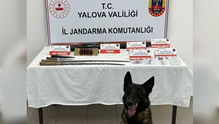 Yalova’da Jandarmadan Uyuşturucu Operasyonu: Silah ve Uyuşturucu Ele Geçirildi