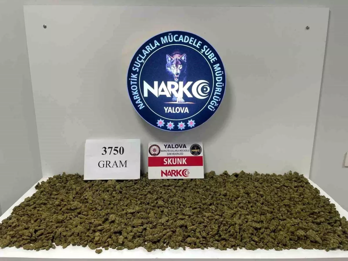 Yalova’da Uyuşturucu Operasyonu: Motosikletten 3 Kilo 750 Gram Skunk ve 28 Bin TL Çıktı